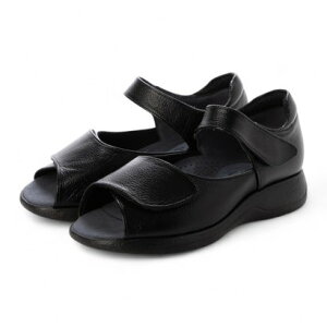 ^JCTmNc 䂳̌C 䂳̌Cv5EyʉKtBbgT_ ubN iubNj