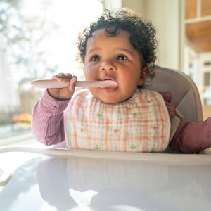 エイデンアンドアネイ aden+anais スナップビブ 3枚入【返品不可商品】 (カントリーフローラル)