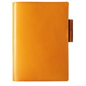 u[VVA BLUE SINCERE C^AU[ ubNJo[ A6TCY / Levi5 - B5 -igLj