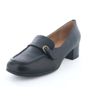 AViKIWT Ȃ JpvX iubNj