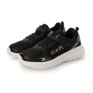 W[GbNXA[ GXR WjAX|[c iBLKj