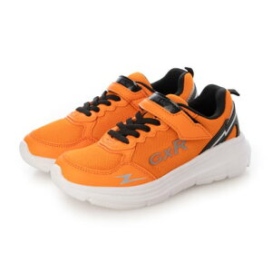 W[GbNXA[ GXR WjAX|[c iORNj