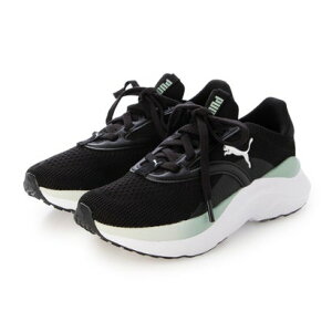 v[} PUMA 504 SOFTRIDE Cu EB 310160 iubNn̑j