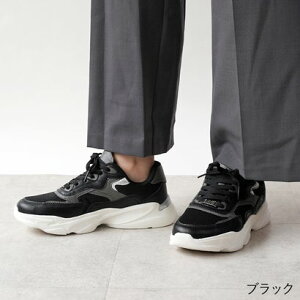 A[EFEF a.v.v Xj[J[ fB[X ꂢ  y C 25H~V   O[ x[W ₷ y Ȃ iubNj