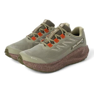�T������ SALOMON AERO BLAZE3 GRVL GTX �iKHBR�j