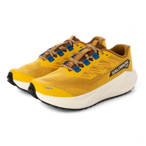 �T������ SALOMON AERO BLAZE 3 GRVL �iBGWT�j