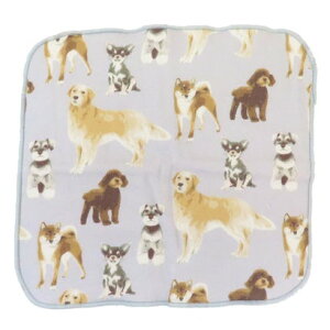 Vl}RNV cinemacollection ~j^I K[[^I ЖʃK[[nJ`^I j[hbO OC  tYq FRIENDSHILL  킢 ObY