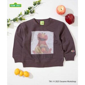 t[cIuU[ FRUIT OF THE LOOM yFRUIT OF THE LOOMzXEFbg? / LbY / ZT~Xg[g / R{vg / tHgG iuEj