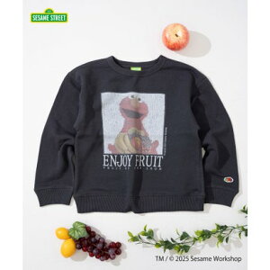 t[cIuU[ FRUIT OF THE LOOM yFRUIT OF THE LOOMzXEFbg? / LbY / ZT~Xg[g / R{vg / tHgG iubNj