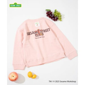 t[cIuU[ FRUIT OF THE LOOM yFRUIT OF THE LOOMzXEFbg? / LbY / ZT~Xg[g / R{vg / GS isNj