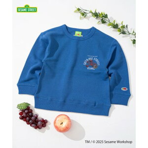 t[cIuU[ FRUIT OF THE LOOM yFRUIT OF THE LOOMzXEFbg? / LbY / ZT~Xg[g / R{vg / GS iu[j