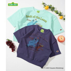 t[cIuU[ FRUIT OF THE LOOM yFRUIT OF THE LOOMzn[tX[uXEFbg? / ZT~Xg[g / R{vg / G / NbL[X^[ iTbNXj