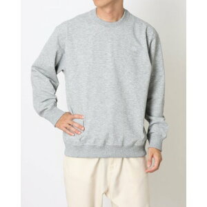 UEm[XEtFCX THE NORTH FACE AEghAJWA XEFbgg[i[ Small Logo Heather Sweat CrewX[SwU[XEFbgN[ NT62532 i~bNXO[j