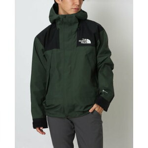 ザ・ノース・フェイス THE NORTH FACE メンズ トレッキング ハードシェルジャケット Mountain Jacketマウンテンジャケット NP62510 (アルパイン)