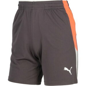 v[} PUMA v[} PUMA TbJ[ CfBBWA[K INDIVIDUAL LIGA g[jO V[c 2 JR Y n[tpc V[gp i10 SHADOWGRAYj