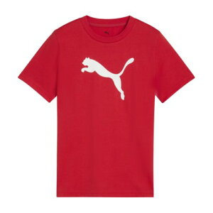 v[} PUMA v[} PUMA ESS v[} S T Vc B 687784 i11 FORALLTIMEREDj