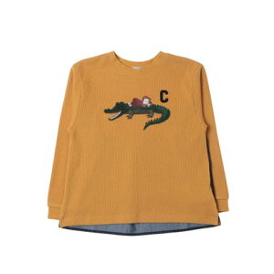 veB}C petit main ỹW[WzڌAbvPTVc iN[j