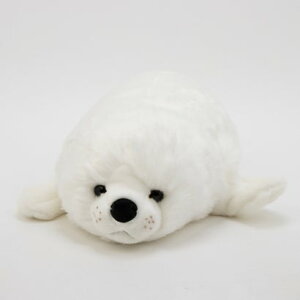 C|[gZNg IMPORT SELECT _ʂ izCgj