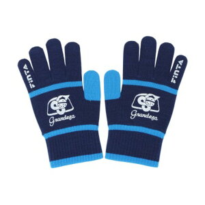 tB^ FINTA tB^ FINTA TbJ[ jbgO[u FT4564 i1122 lCr[XTbNXj