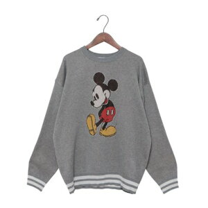 fBYj[ Disney fBYj[ WK[hjbg iO[j