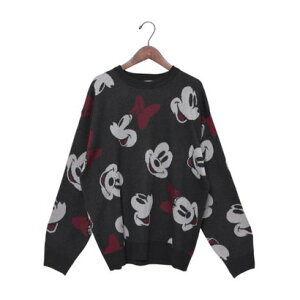 fBYj[ Disney fBYj[ WK[hjbg iX~Nj