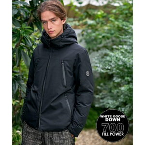 hXeA DRESSTERIOR EH[^[v[t zCgO[X_E iubN(019)j