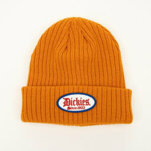 �f�B�b�L�[�Y Dickies DK EX BLOCK FONT WAPPEN KNIT WATCH �i�I�����W�j