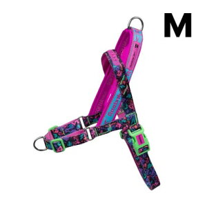 Reebok Dog AEROBIC SOFTER WALK MEDIUMyԕisiz iAEROBICj