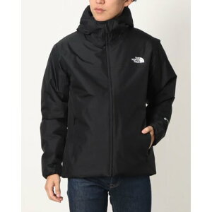 UEm[XEtFCX THE NORTH FACE gbLO ȃWPbg GTX Axion Insulated JacketGTX ANVCT[ebhWPbg NY82581 iubNj