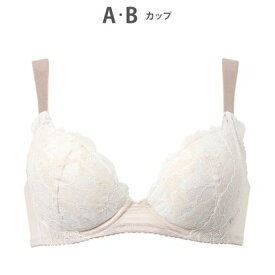 ウイング Wing ブラジャー もちっとふんわり触感 自然なまるみのあるバストをメイク やさしいつけごこち 【もちっとふわっとブラ】 （IV）
