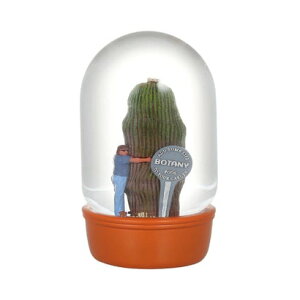 �_���g�� DULTON PLANTS WATER GLOBE �iCACTUS WITH MAN�j