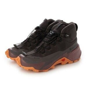 �T������ SALOMON CROSS HIKE 2 MID GORE-TEX �X�j�[�J�[ �i�V�F�[��×���C���h�W���W���[�j