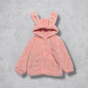 fBtBbg D.FIT  {At[Xp[J[WPbg iPINKj