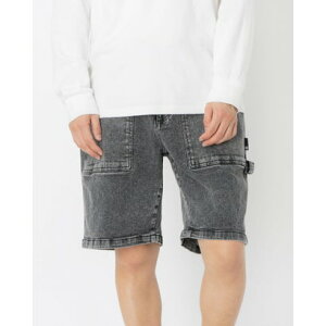 �f�B�[�V�[�V���[�Y DC SHOES WIDE PAINNTER SHORT �V���[�g�p���c �i�u���b�N�f�j���P�~�J���j