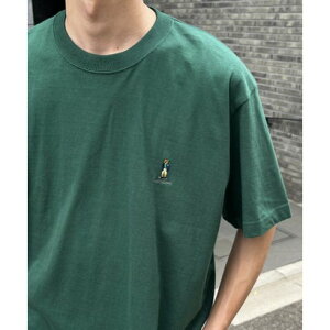 U t@Ci r[ THE FINAL VIEW yTHE FINAL VIEWzTEDDY BEAR |CghJ TVc efBxA jZbNX i_[NO[j