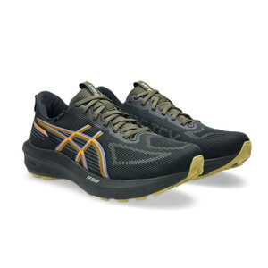 �A�V�b�N�X ASICS 1011C078 GT-1000 14 GTX �����j���O�V���[�Y �i�u���b�N×�_�[�N�R�o���g�j