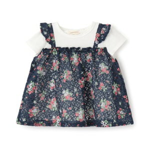 �Z���X �I�u �����_�[ sense of wonder ��C�`�S���[�X�`���j�b�N �i���j