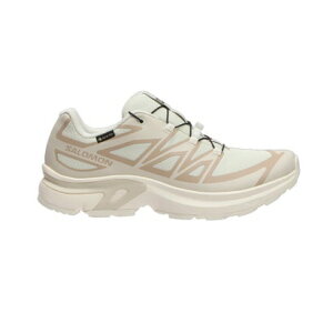 �T������ SALOMON XT-EVR GTX W �i�A�C�{���[�j