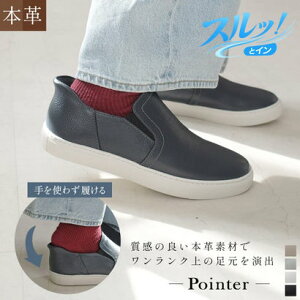 �|�C���^�[ pointer [�|�C���^�[]�{�v�X���b�|�� ���f�B�[�X �X�j�[�J�[ �C PO5816 �i�_�[�N�l�C�r�[�j