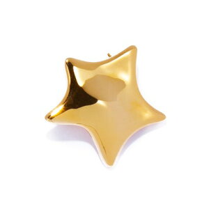 �C���X�t�H�[�Z�u�� IRIS47 wonder brooch/�����_�[ �u���[�` BO205 �i�S�[���h�j
