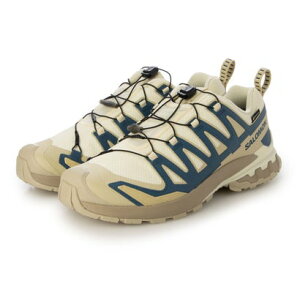 �T������ SALOMON XA PRO 3D V9 GTX �iBGBL�j