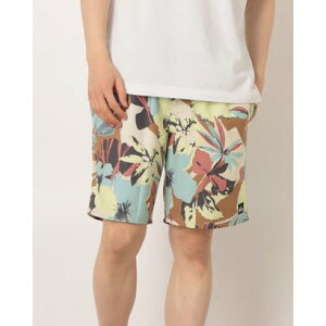 �N�C�b�N�V���o�[ QUIKSILVER �����Y �}���� �{�[�h�V���[�c EVERYDAY PRINTED VOLLEY 19 EQYJV04223 �y�ԕi�s���i�z �iWEG6�j