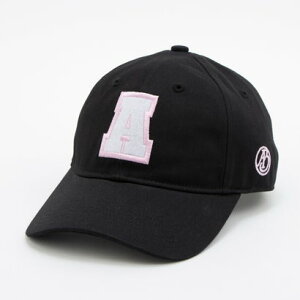 �A�C�r�b�g Ai-Bit Ai-Bit - �hA�h COLLEGE CAP�yAI-LCP07�z �i�u���b�N�j