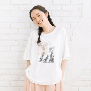 �T�u�X�g���[�g �}�C�X�^���_�[�h sabstreet my standard �ysabstreet bis�z�yweb����z ���m�N���v�����gT�V���c �i�z���C�g�j
