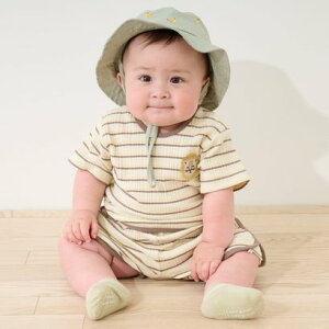 �v�e�B�}�C�� petit main �}���`�{�[�_�[�Z�b�g�A�b�v �i�x�[�W���j