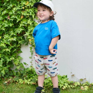 �v�e�B�}�C�� petit main �y�v�e�B�v��/WEB�ʒ��z�n�[�t�p���c �i���C�g �O���[�j