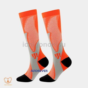 C Y X|[c\bNX oXPbg ejX St jO EH[LO ] AEghA oR gbLO nCLO j ̓ Mtg