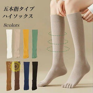 ܖ{w nC\bNX fB[X C hL ܖ{wnC\bNX u\bNX  5{w\bNX nC  z ȍ n ܖ{wC X|[c