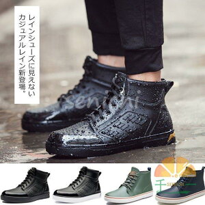 CV[Y Y nCJbgXj[J[ Cu[c [XAbv JC h ~J΍ ʋ ʊw IV JWA