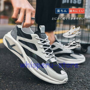 Y Xj[J[  ₷ I[V[Y WMO jOV[Y ^C y ᔽ lC ɂ